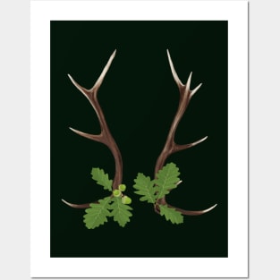 Oak and Antlers Posters and Art